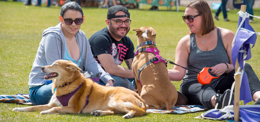 Bark in the Park- Huntsville’s Biggest Dog Gathering