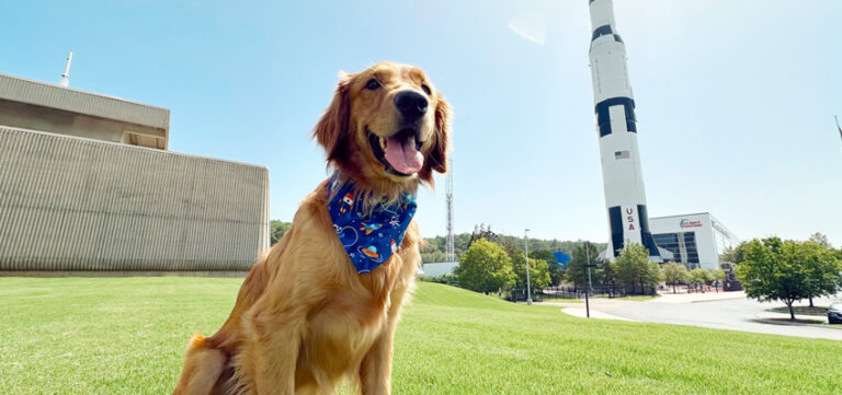 Exploring Huntsville with Your Pet- Pet-Friendly Activities and Events in Rocket City