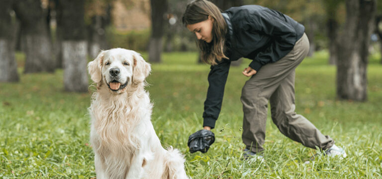 Pet Waste Management- Essential Tips for a Cleaner, Healthier Yard